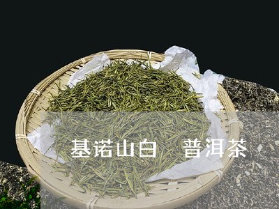 基诺山白 普洱茶/2023041371584